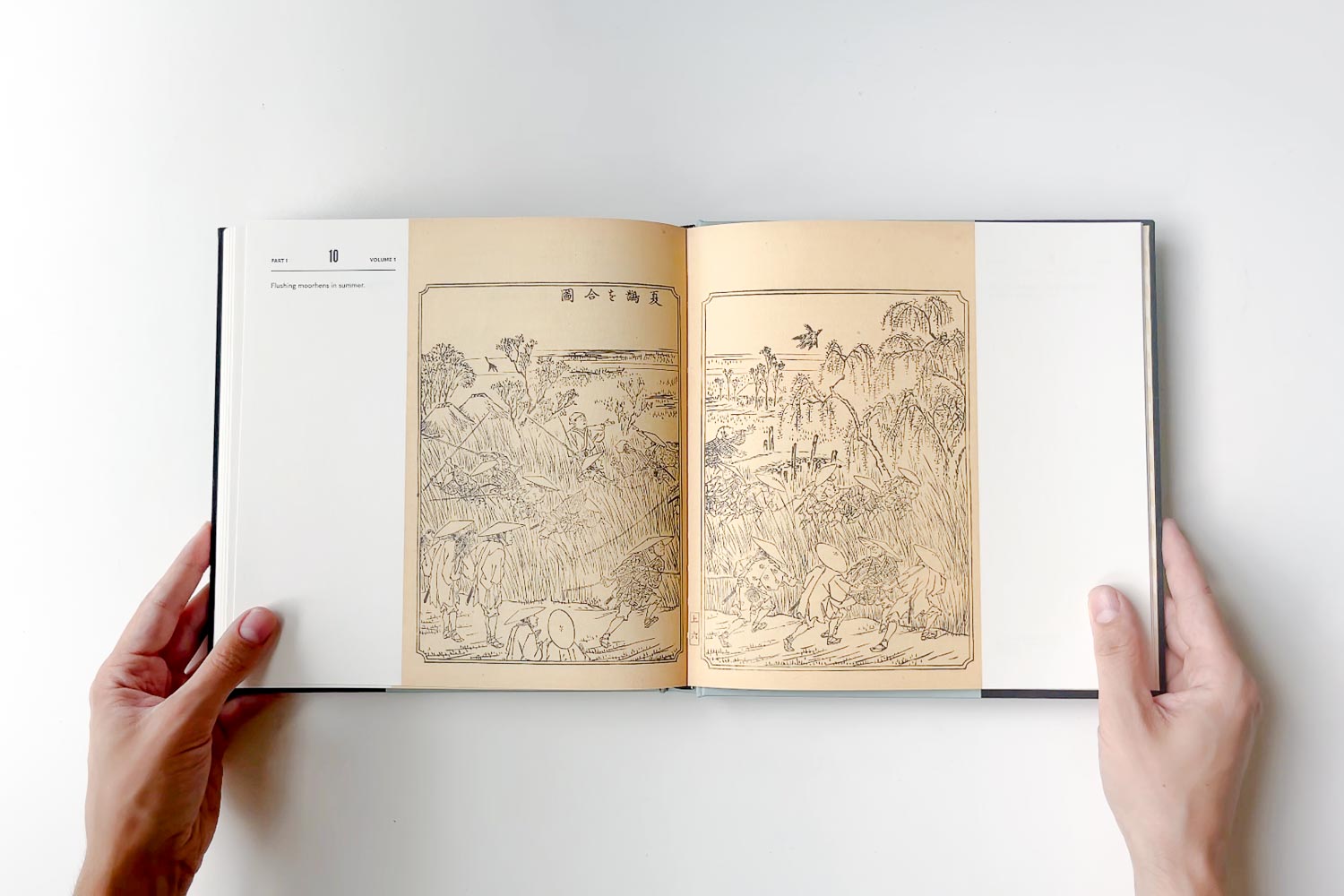 An Illustrated Mirror of Hawking | Kawanabe Kyōsai’s Falconry Art Book