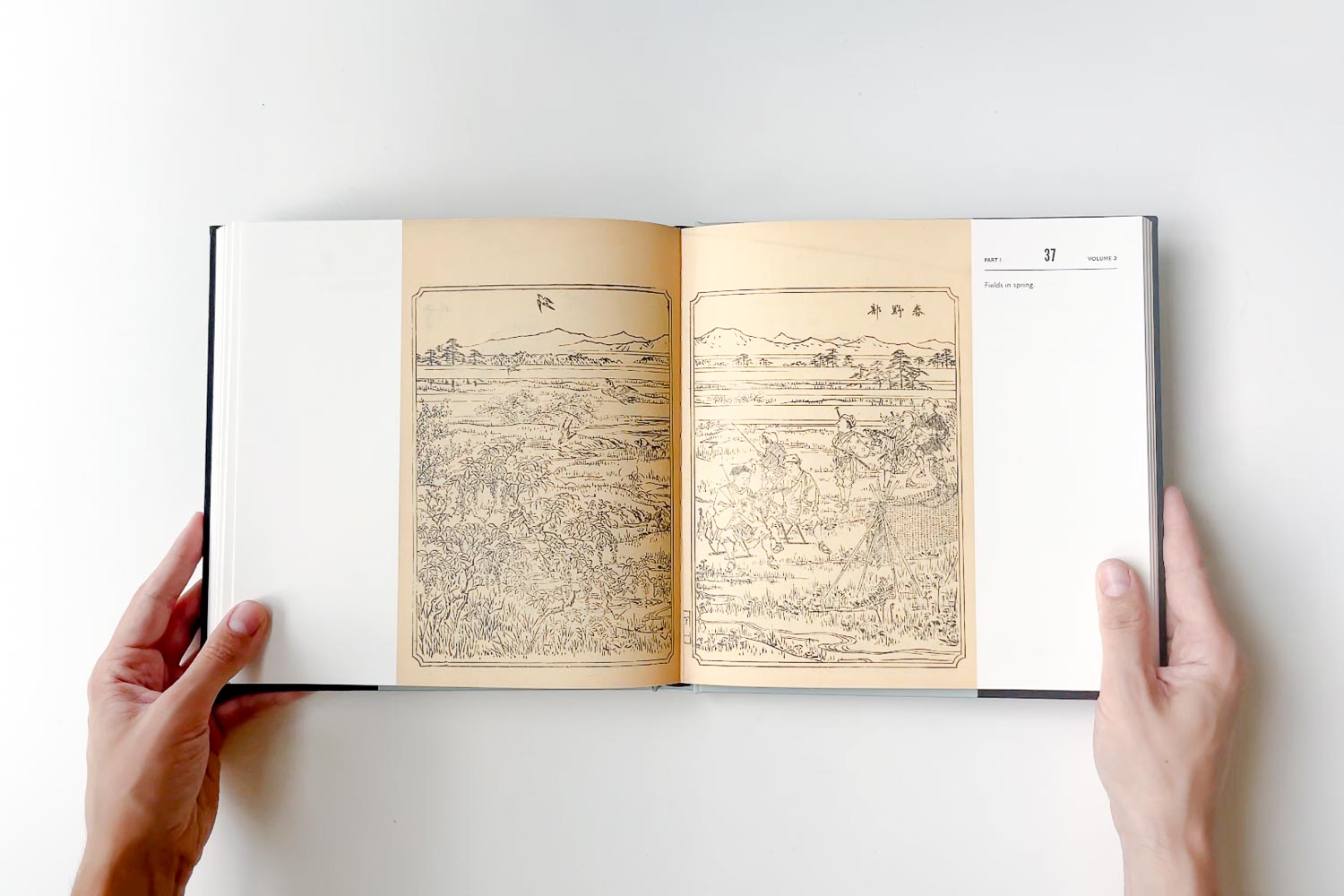An Illustrated Mirror of Hawking | Kawanabe Kyōsai’s Falconry Art Book