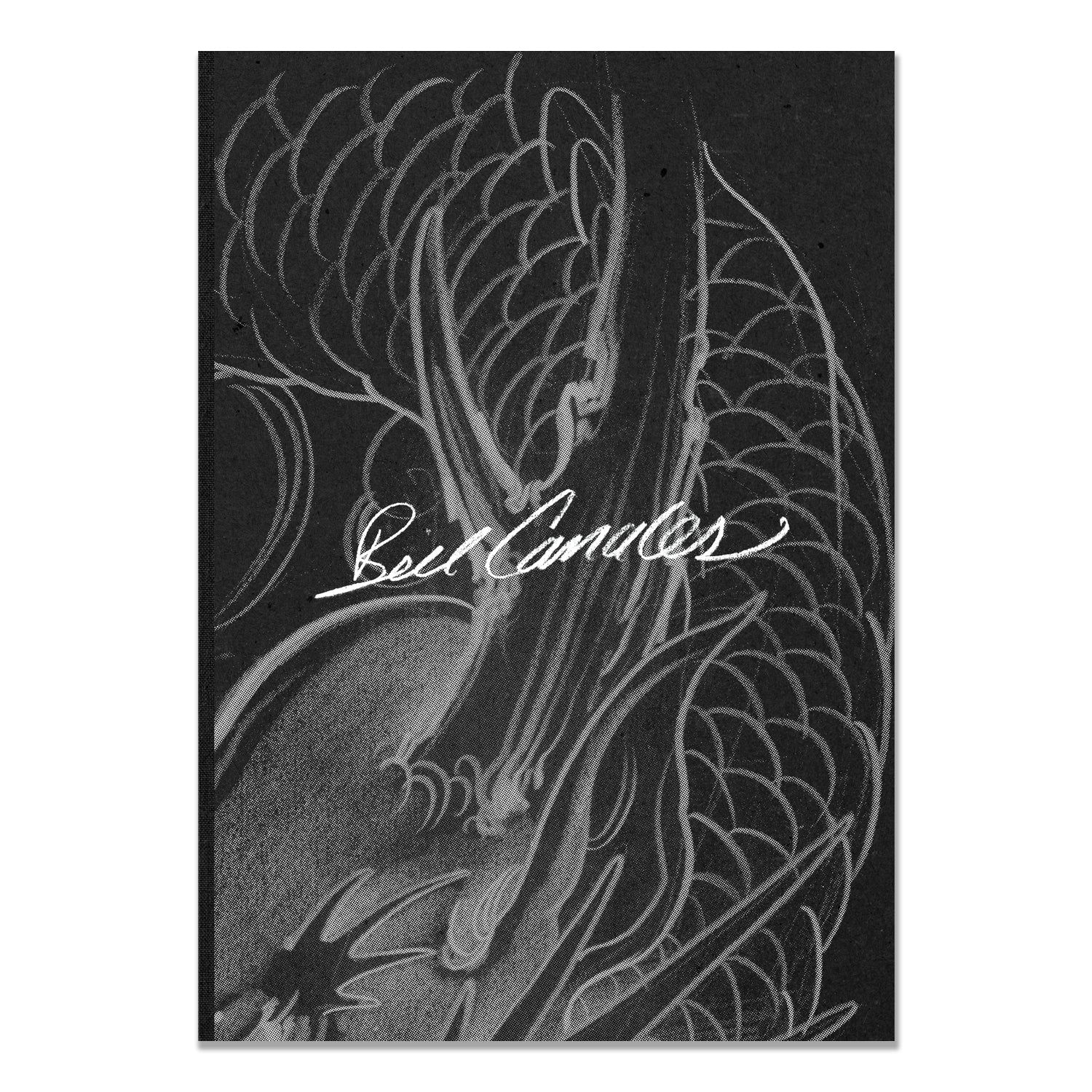 Daily Dragon Sketches – Summer by Bill Canales, hardcover Japanese tattoo art book 2025