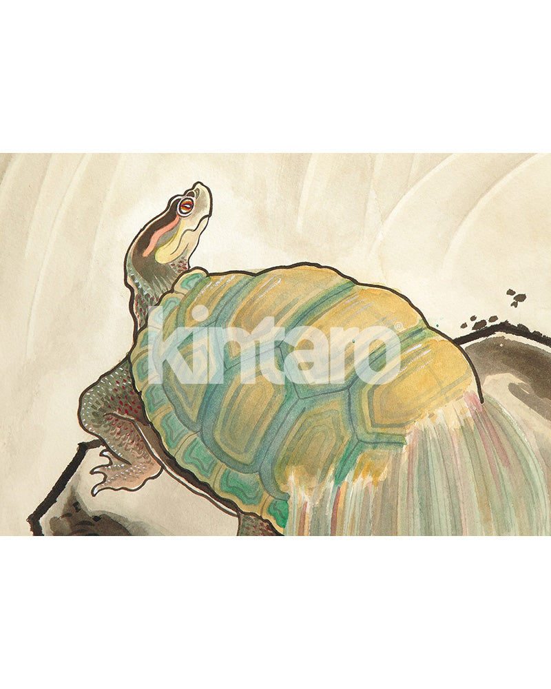 クーパー・フィリップス