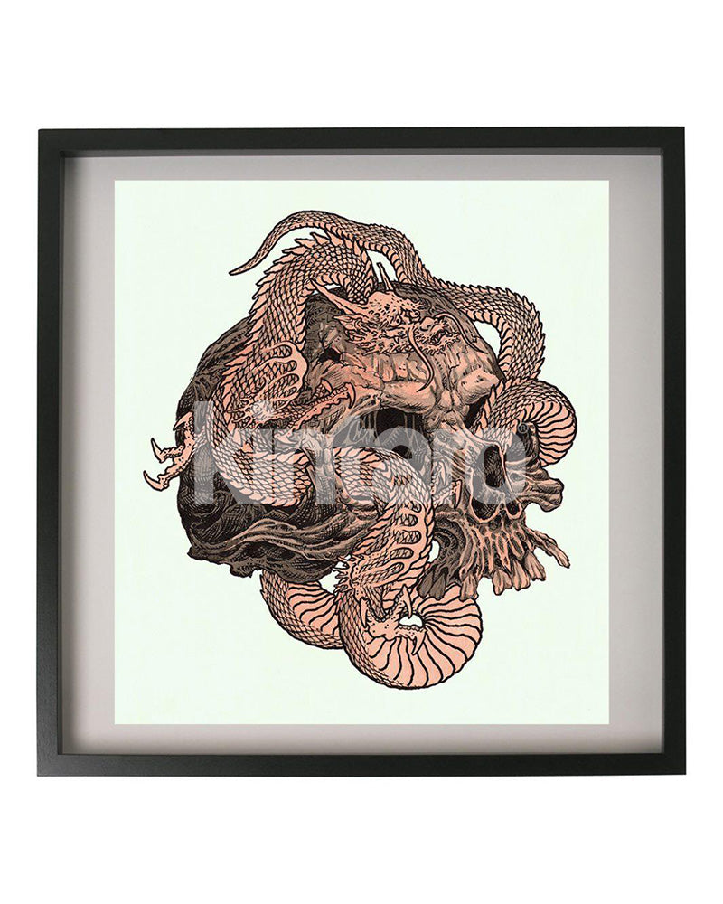 ドラゴンの頭蓋骨