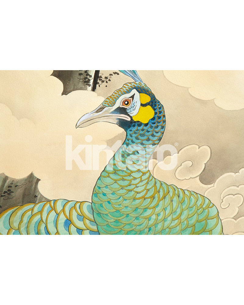 フィッツウィリアム