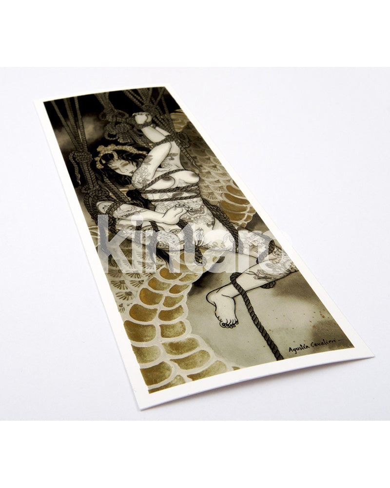 一匹のドラゴンと六匹の従順な者たち