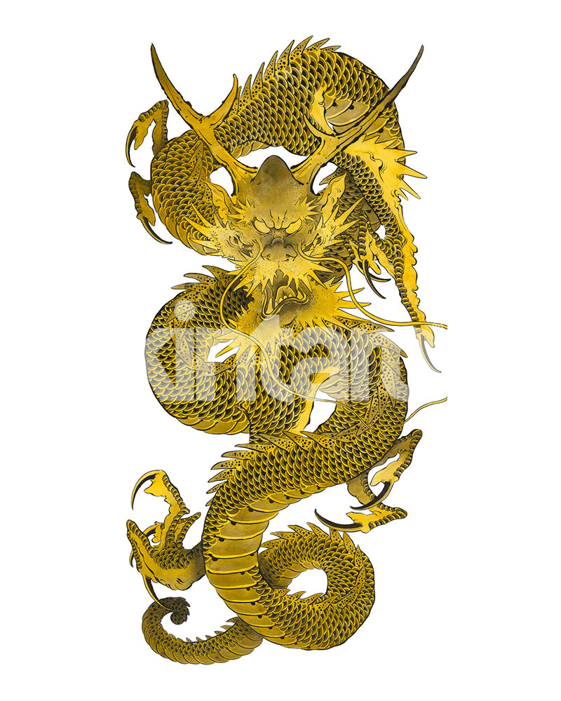 Dragon d'or 1