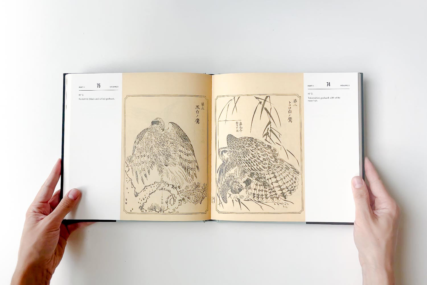 An Illustrated Mirror of Hawking | Kawanabe Kyōsai’s Falconry Art Book