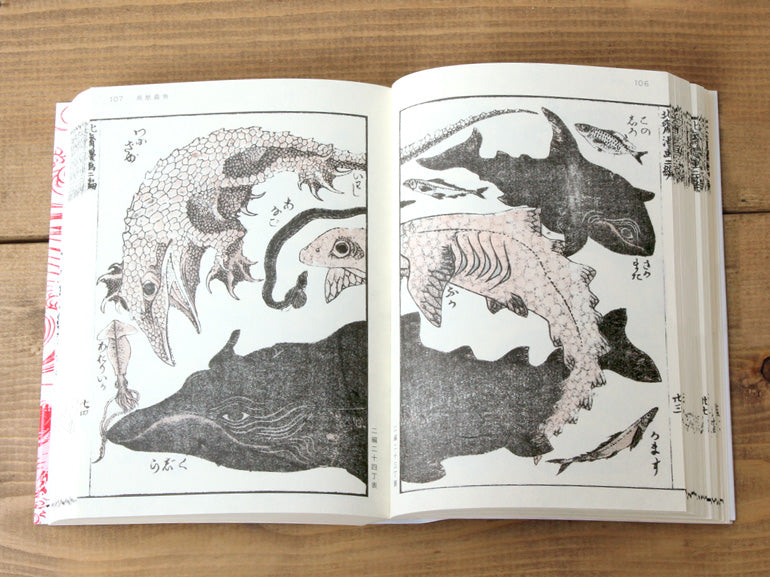 北斎漫画 第2巻：全地球目録