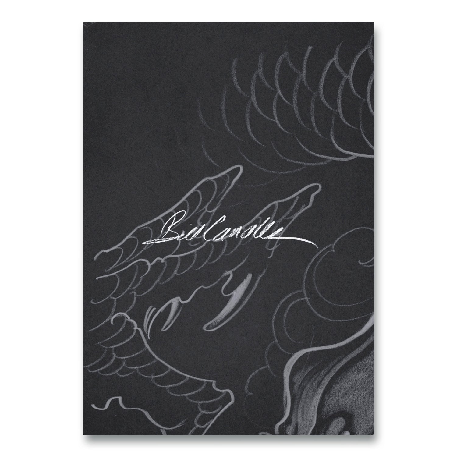 Cover of Daily Dragon Sketches: Spring by Bill Canales