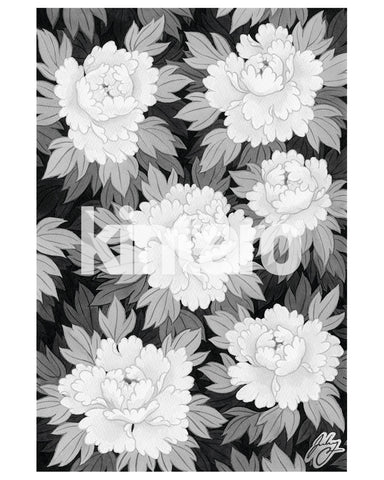 Black and White Flowers