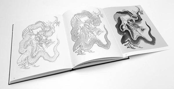 Libro de dragones (raro y usado)