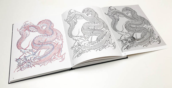 Livre des Dragons (rare & utilisé)