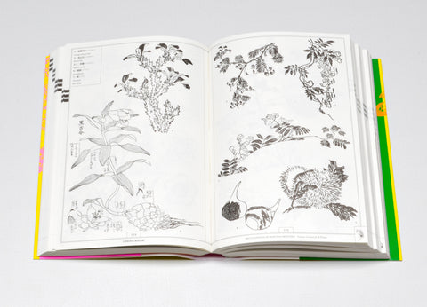 Encyclopedia Of Hokusai Sketches