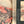 Charger l&#39;image dans la galerie, Hokusai gros plan I
