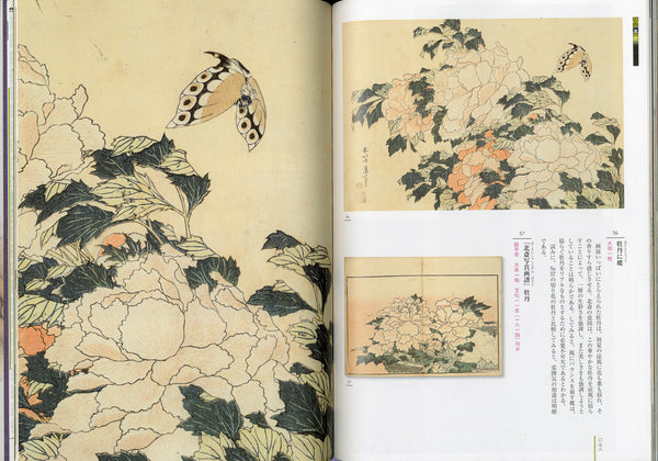 Hokusai Close Up II