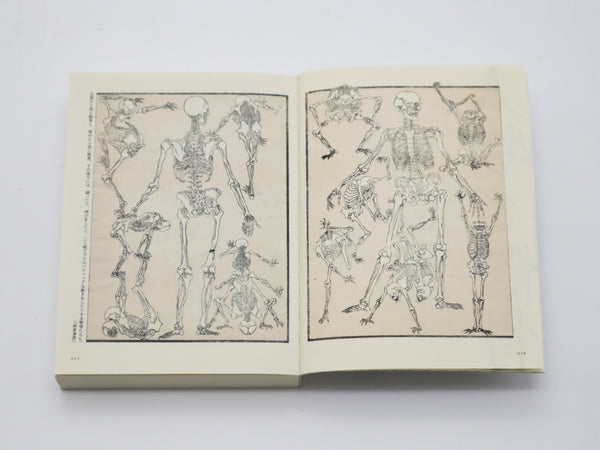 Libri illustrati di Kawanabe Kyosai