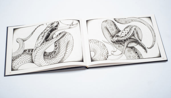 Die Geometrie hinter Snakes and Dragons